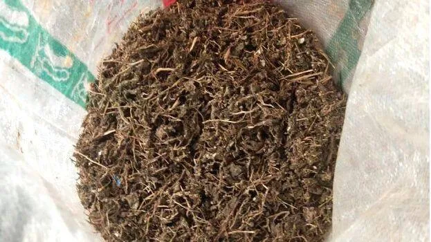 kanjav