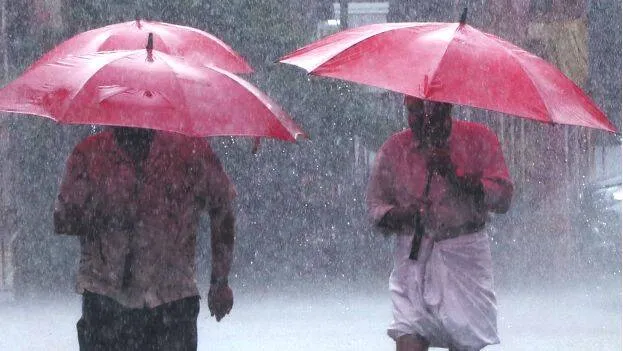 rain