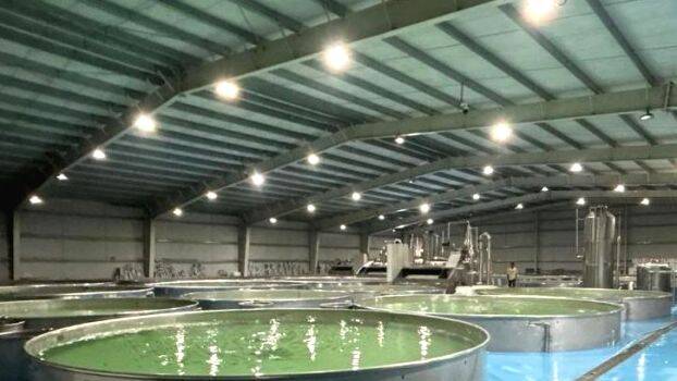 fish-farm-