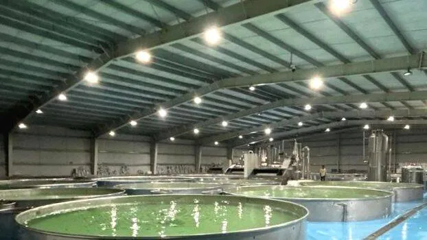 fish-farm-