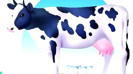 milk