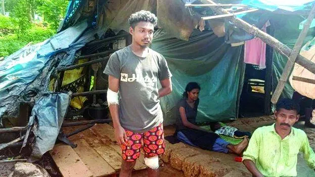 shed-aralam