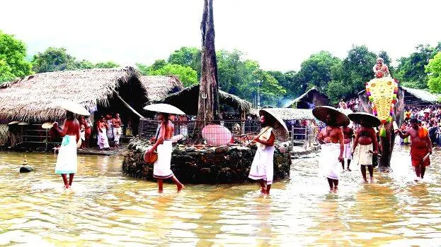 ponnin-seeveli