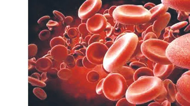 blood