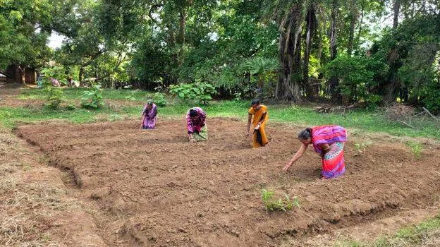 kudumbasree