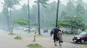 rain