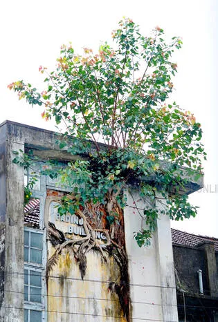 Kerala Kaumudi Photo Gallery