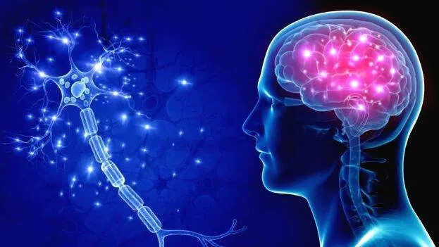 neuro