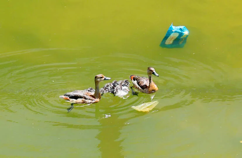 Kerala Kaumudi Photo Gallery
