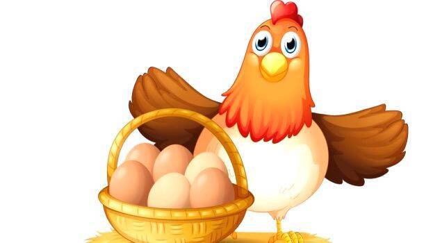egg