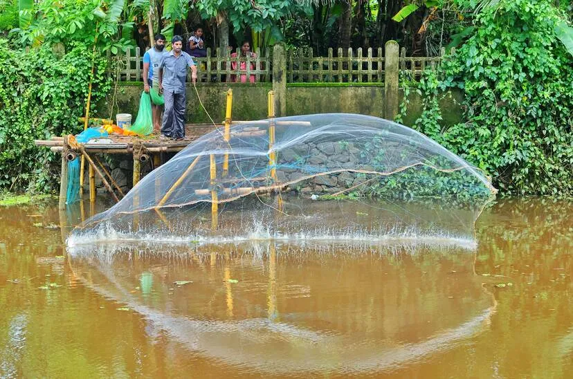 fishing-