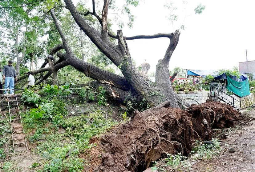 Kerala Kaumudi Photo Gallery