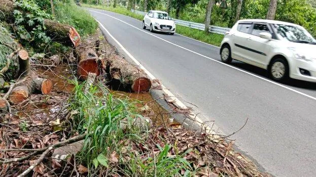 thadi