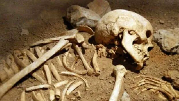 skelton
