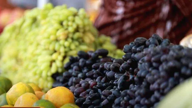 fruits