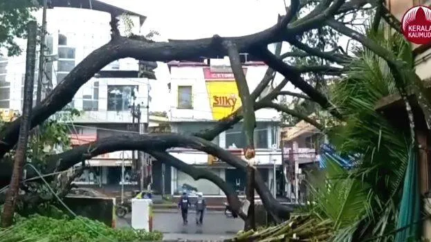dd