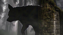mystery-beast-attack-in-madhyapradesh-six-died