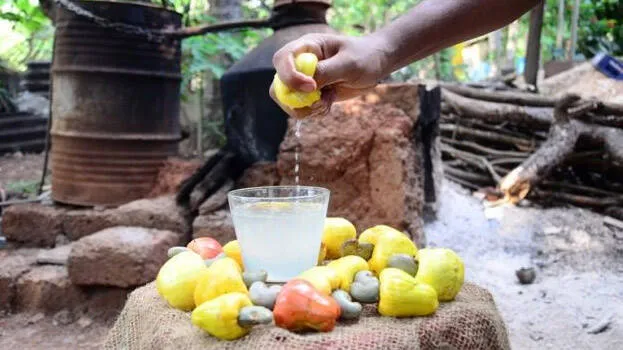 kannur-feni