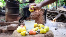kannur-feni-produced-from-cashews