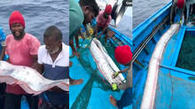 giant-oarfish-off-tamil-nadu-coast-know-what-happend