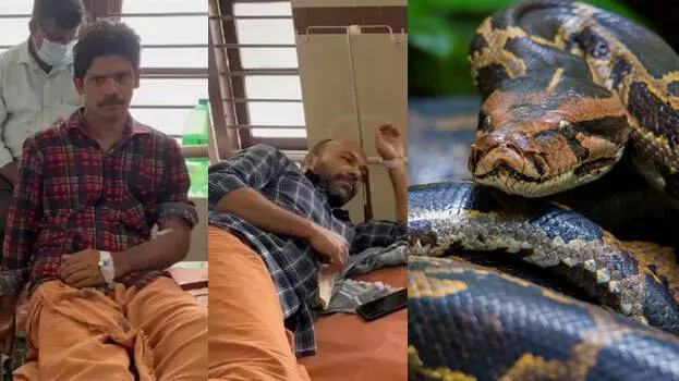 snake