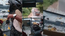 jackfruit-falls-on-ksrtc-bus