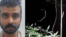 man-arrested-for-setting-up-wild-boar-trap-for-hunting