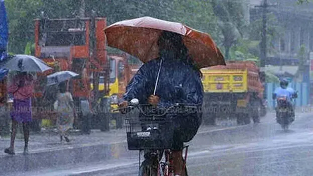 rain