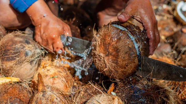 coconut
