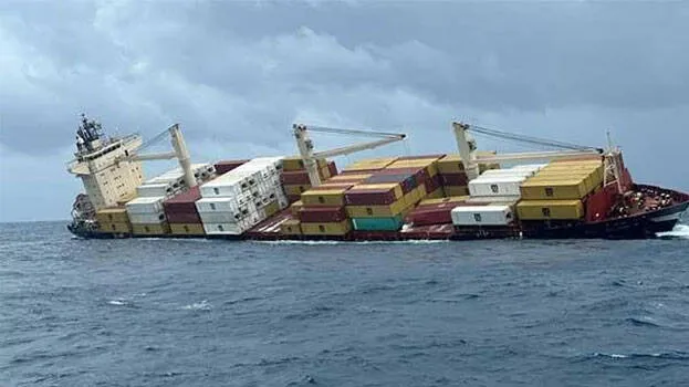 msc-elsa