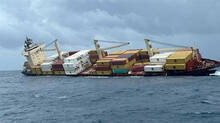 msc-elsa