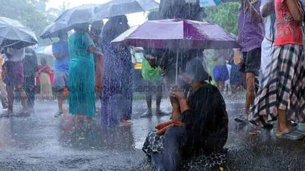 rain