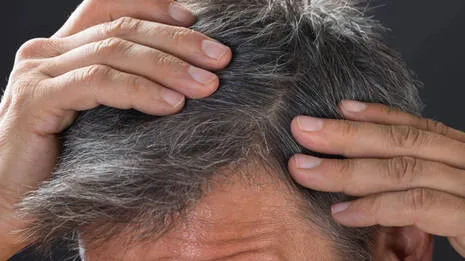 grey-hair