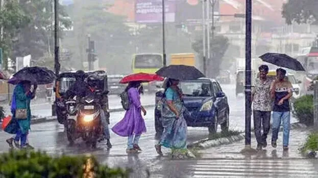 rain
