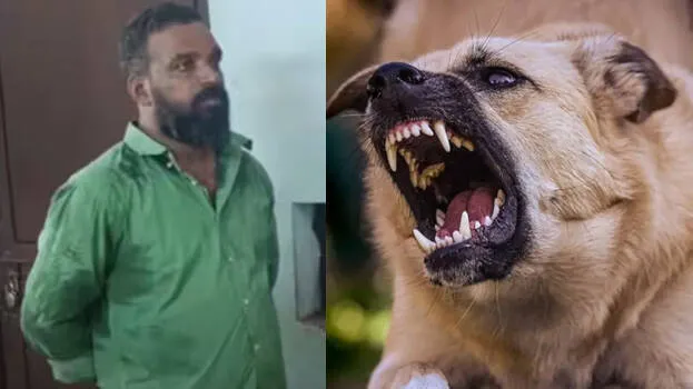 jijesh