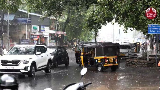 rain