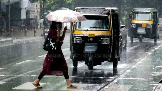 rain
