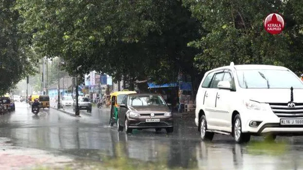 rain