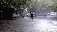 rain