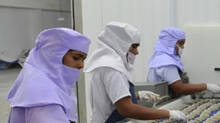 the-downfall-of-this-sector-will-affect-14-lakh-people