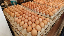 those-who-bought-eggs-from-tamil-nadu-natives-at-low-prices-were-cheated