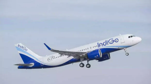indigo-flight