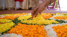 flower-farming-for-onam