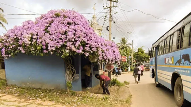 bus-stop