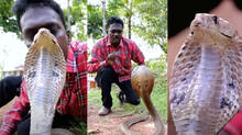 vava-sureshs-snake-master-latest-episode