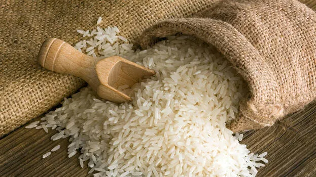 rice