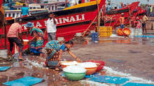 fishermen-in-kerala-are-facing-serious-problems.