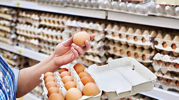 egg