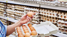 egg