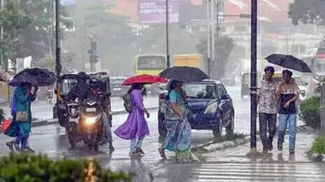 rain